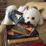 Cathy Yao - @catyao2000 - Instagram