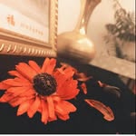 Cathy Yao - @yaoeggy - Instagram