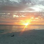 Cathy Cooper Yoder - @cathycooperyoder - Instagram