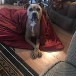 Cathy Yoder-Schliesman - @cathy_yoder_schliesman - Instagram