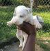 Catina Jackson - Facebook