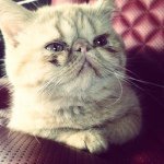 Katie - @catinalee123 - Instagram