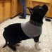 Catina Murphy - Facebook