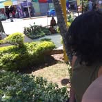 Catita Rios - Facebook
