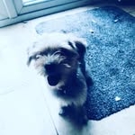 Catrin Owen - @davidfaoowen - Instagram