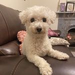 Catrin Roberts - @catrinroberts1 - Instagram