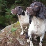Gwynant A Catrin Roberts - @gwynantacatrin - Instagram