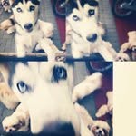 Katrina bush - @postscanner - Instagram