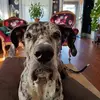 Catrina Carson455 - @catrinacarson455 - TikTok