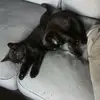Catrina Taylor - @catrina.taylor2 - TikTok