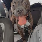 Cayden Bailey - Facebook