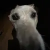 Cayden Brown - @bdb.1435 - TikTok