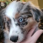 Cayden Campbell - @cayden28799 - Instagram