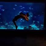 Cayden Campbell - @go_stick_it - Instagram