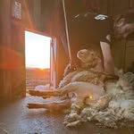 Cayden Robinson - @cayden_robinson_ - Instagram