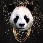 Cayden Robinson - @pandaboss3 - Instagram