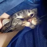 Cayden Robinson - @the_cayd_has_your_cookies123 - Instagram