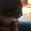 cayleeking677 - @cayleeking677 - TikTok
