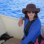Celia Brewer - @shoppercat2008 - Instagram