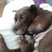 Cecelia Carlson - Facebook