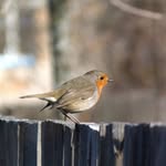 cecelia foley - @cecelia128fluvm - Instagram