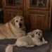 Cecilia Fazio-Funk - Facebook