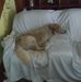 Cecelia Galloway - Facebook
