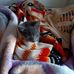 Celia Gibbs - Facebook