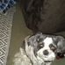 Cecelia Giles - Facebook