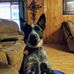 Celia Glenn - Facebook