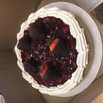 Cecelia Grace - @cecelia3664 - Instagram