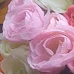 Cecilia Graham - Facebook
