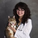Dr. Cecelia Harmon, DVM - @drcecelialovescats - Instagram