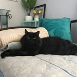 Cecelia Harvey - @simba_p._harvey - Instagram