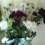 Cecelia Hendricks - Facebook