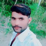 Cecilia Hensley - @dhirajkumar2021hdi - Instagram