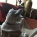 Celia Herring - Facebook