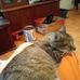 Cecelia Hightower - Facebook