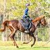 Celia Hodgson - Facebook