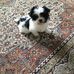 Cecilia Holmes - Facebook