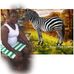 Cecelia Johnson - Facebook