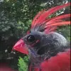 ceceliakeech - @ceceliakeech - TikTok