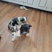 Cecelia Moran - Facebook