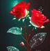 Cecilia Perez - Facebook