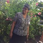 Cecelia Cooke Phillips - @cecelia_phillips3 - Instagram