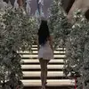 Cecelia Phillips - @user143320850736 - TikTok