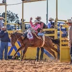 Addison Cecil - @addisoncecil32 - Instagram