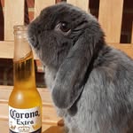 Cecil Arthur Gaught 🐇 - @cecil_arthur_gaught - Instagram