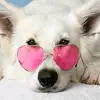 ceciliaboswell123 - @cecemariebos - TikTok