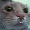 Cecil Bradshaw - @cecilbradshaw885 - TikTok